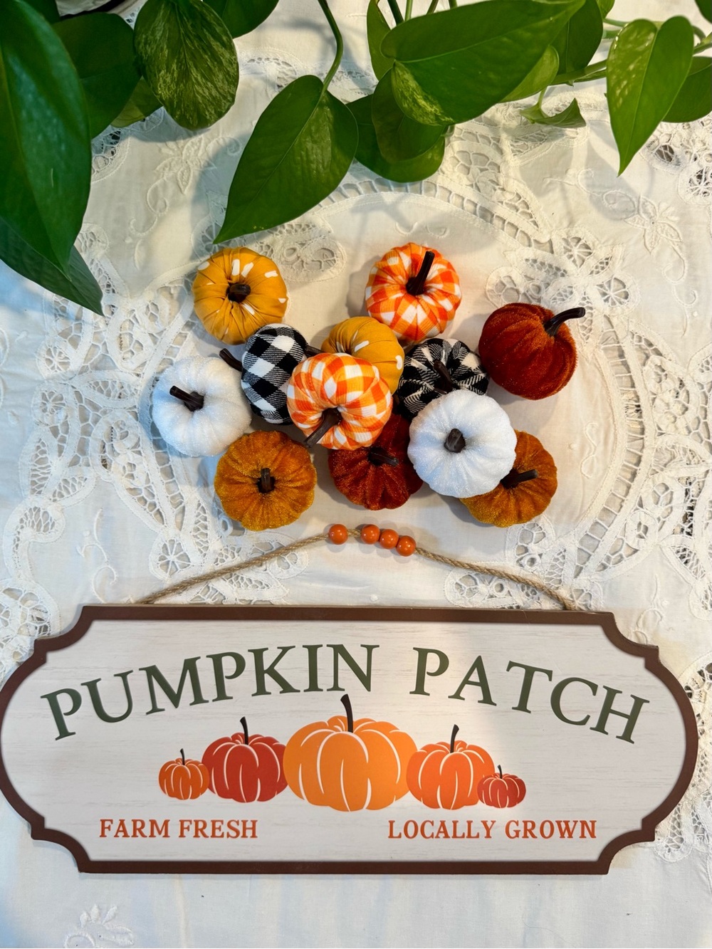 Pumpkin Patch Hanging Sign - Orange & Brown 16” x 6”